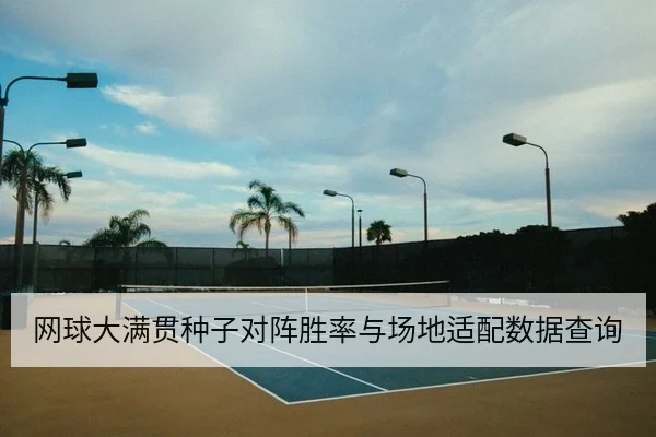 网球大满贯种子对阵胜率与场地适配数据查询