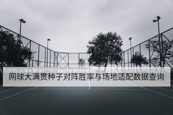 网球大满贯种子对阵胜率与场地适配数据查询