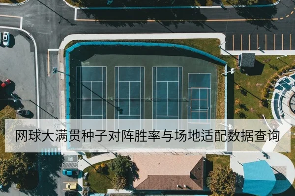网球大满贯种子对阵胜率与场地适配数据查询